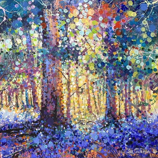 Bluebell Forest