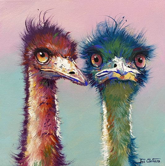 Pair of Emu’s - #3