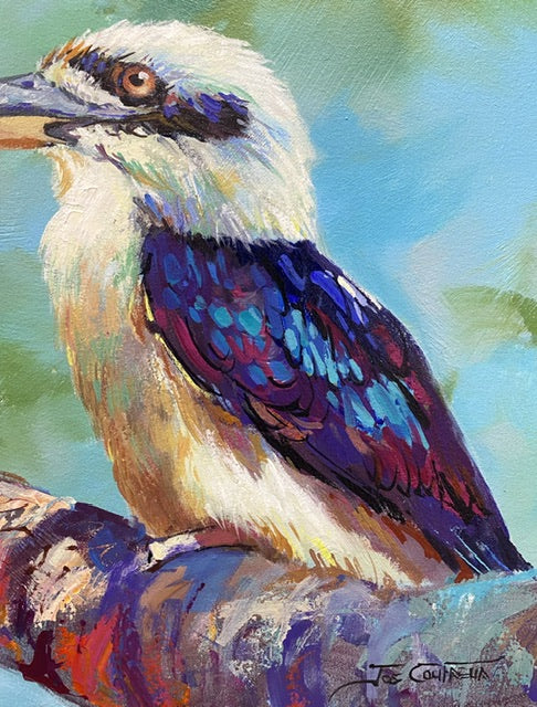 Pair of Kookaburras 3