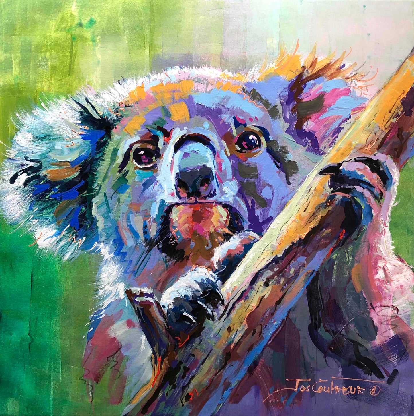 Koala 20 - Reproduction Canvas Print